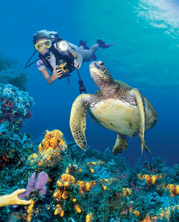 Scuba diver exploring